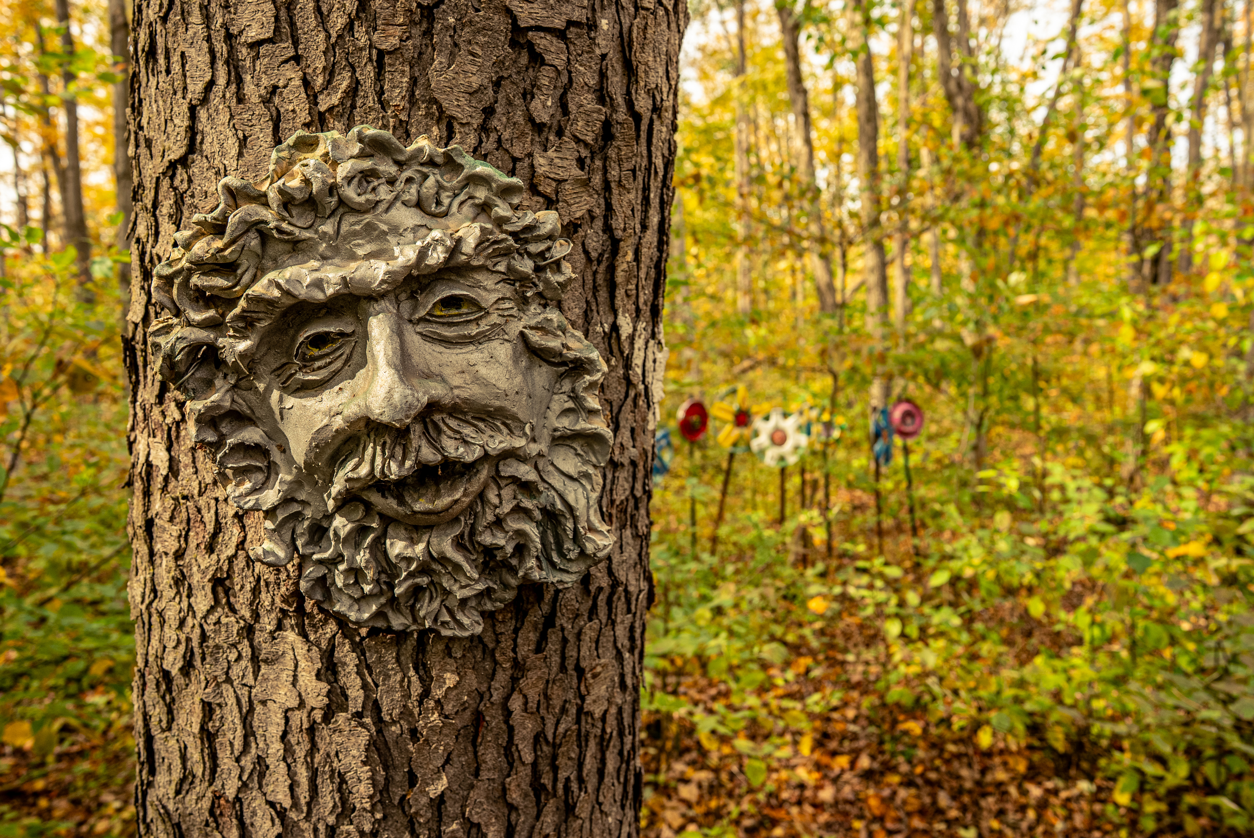 ArtForest 07498